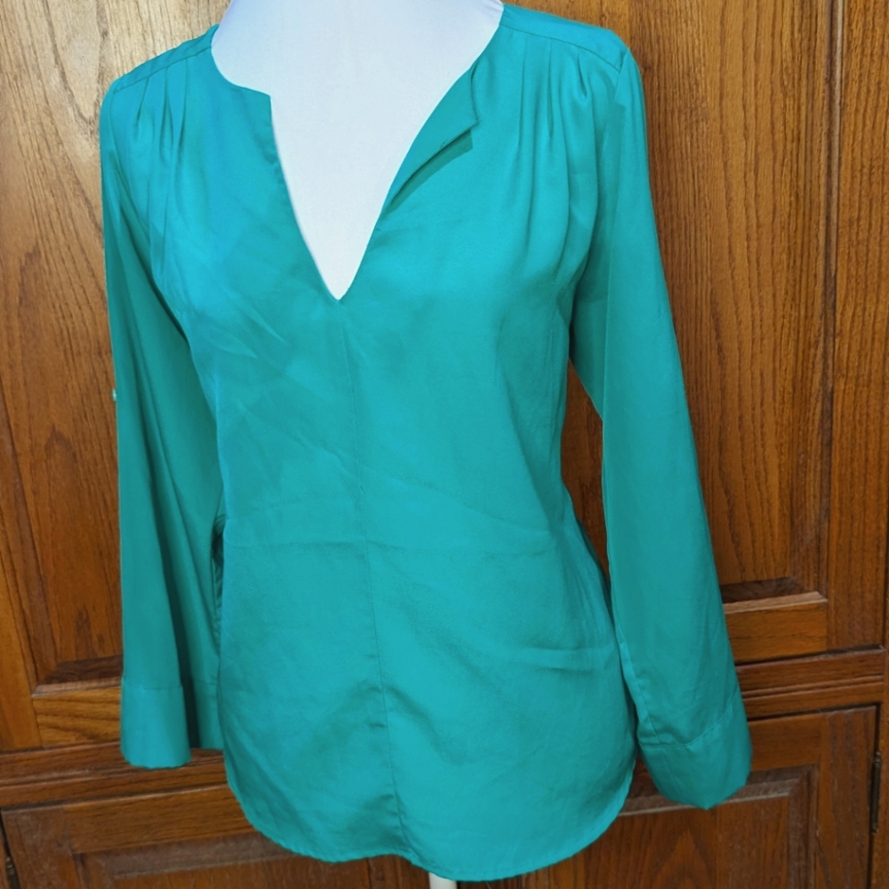 Collective Concepts S aqua Vneck silky blend long sleeve tunic top